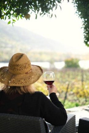 Quinta das Casas - Douro Winery & Villas